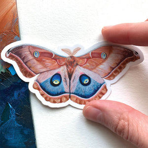 Rust peach blue Polyphemus moth sticker 