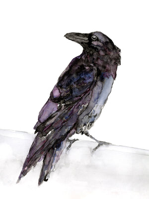 "Raven" Watercolor Art Print