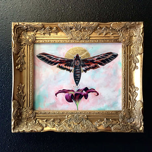 sphinx moth and lily painting in gold frame by Aimee Schreiber