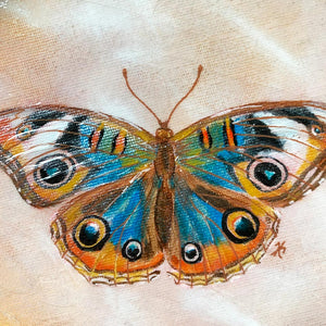 blue buckeye butterfly painting texture detail