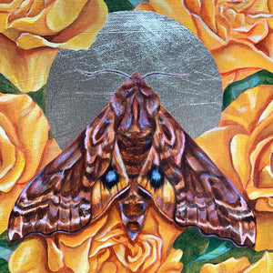 small-eyed-sphinx moth yellow rose painting gold detail