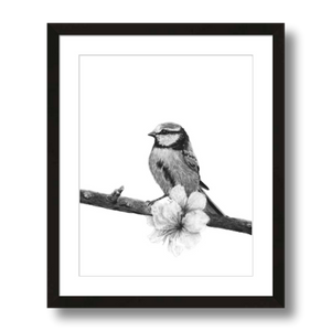 songbird charcoal art print framed 11x14