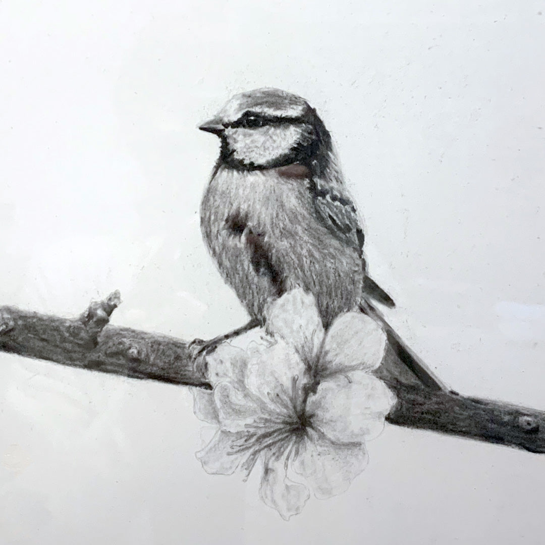 40 Beautiful Bird Drawings and Art works for your inspiration | Bird  drawings, Animal drawings, Bird pencil drawing