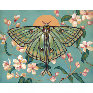 Spanish moon moth art print with blossoms by Aimee Schreiber