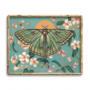 Spanish moon moth art print with blossoms in gold frame by Aimee Schreiber
