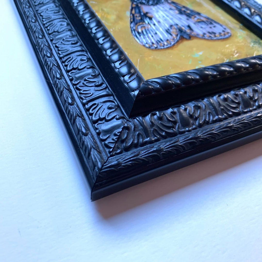 spanish moth painting black frame detail