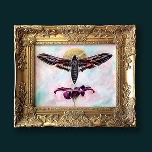sphinx moth and lily painting in gold frame by Aimee Schreiber