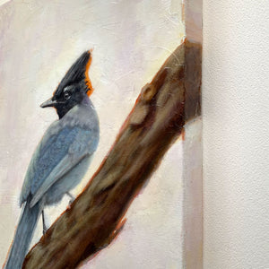 stellar's jay bird painting on canvas edge detail
