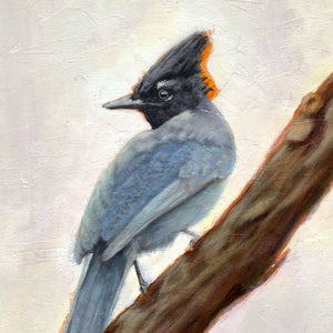 stellar's jay bird painting detail