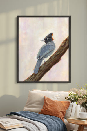 Steller's Jay art print hanging on wall over chair