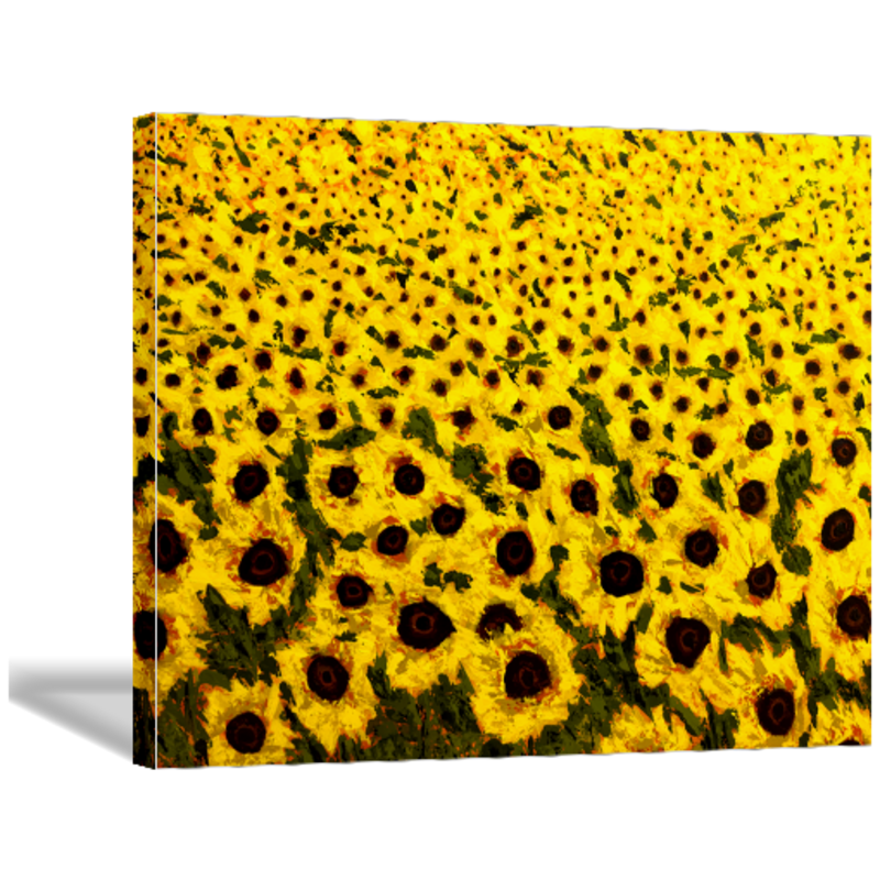 Designart - Parkland Trails Photography Canvas Art Print - Yellow - 40 in. Wide x 30 in. High