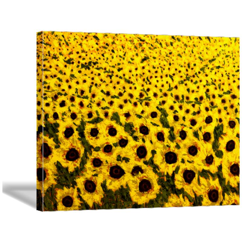 https://thecopperwolf.com/cdn/shop/products/sunflower-field-art-print-canvas-30x40_1200x.png?v=1672435102