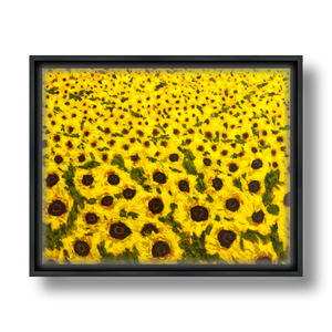 sunflower field art print on canvas in float frame 16x20