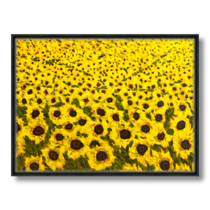 sunflower field art print on canvas in float frame 30x40