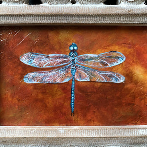 blue dragonfly painting texture shimmer detail