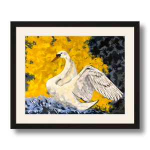 swan art print matted framed 11x14