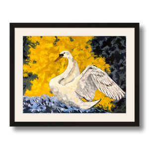 swan art print matted framed 12x16