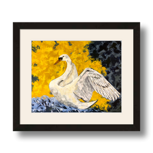 swan art print matted framed 8x10