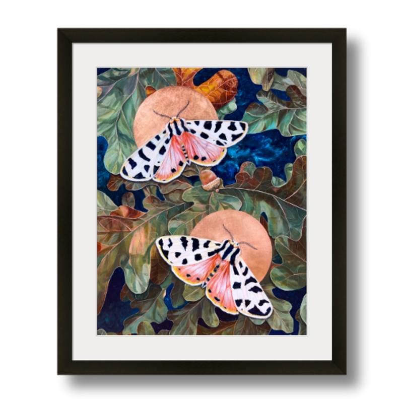 tiger moth art print framed 11x14