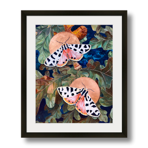 tiger moth art print framed 11x14