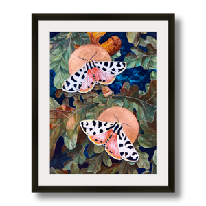 tiger moth art print framed 12x16