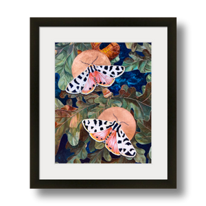 tiger moth art print framed 8x10