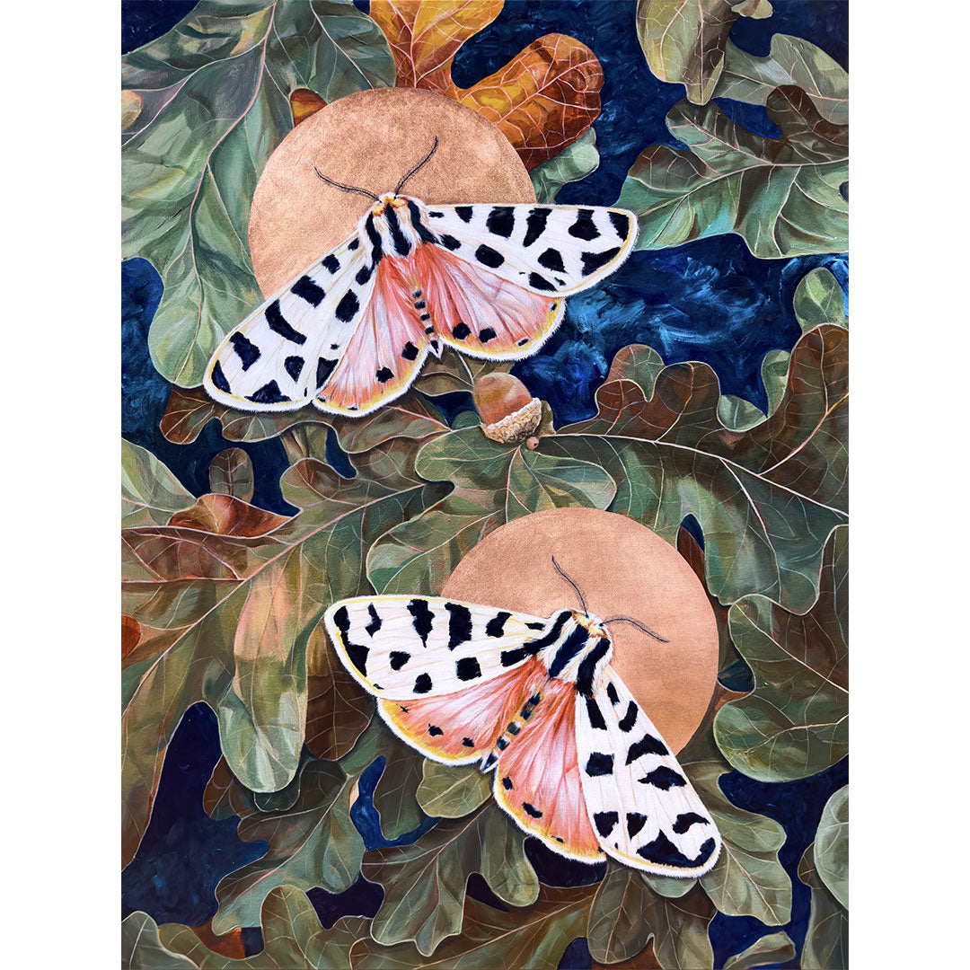 tiger moth art print