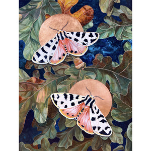 tiger moth art print