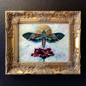 hawk moth rose painting gold frame aimee schreiber