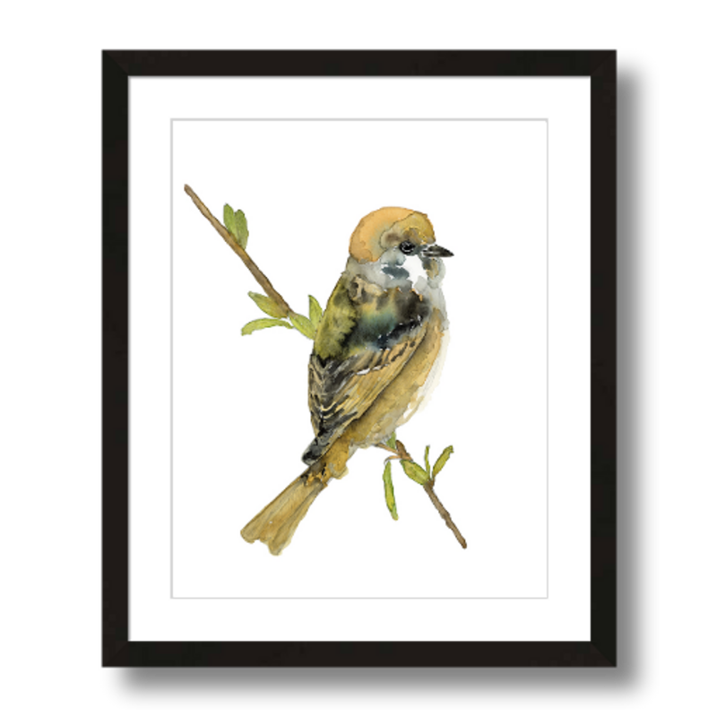 tree sparrow art print framed 11x14