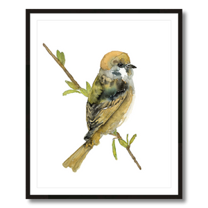 tree sparrow art print framed 24x30