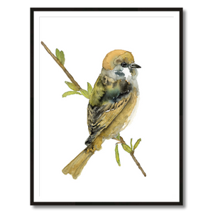 tree sparrow art print framed 30x40
