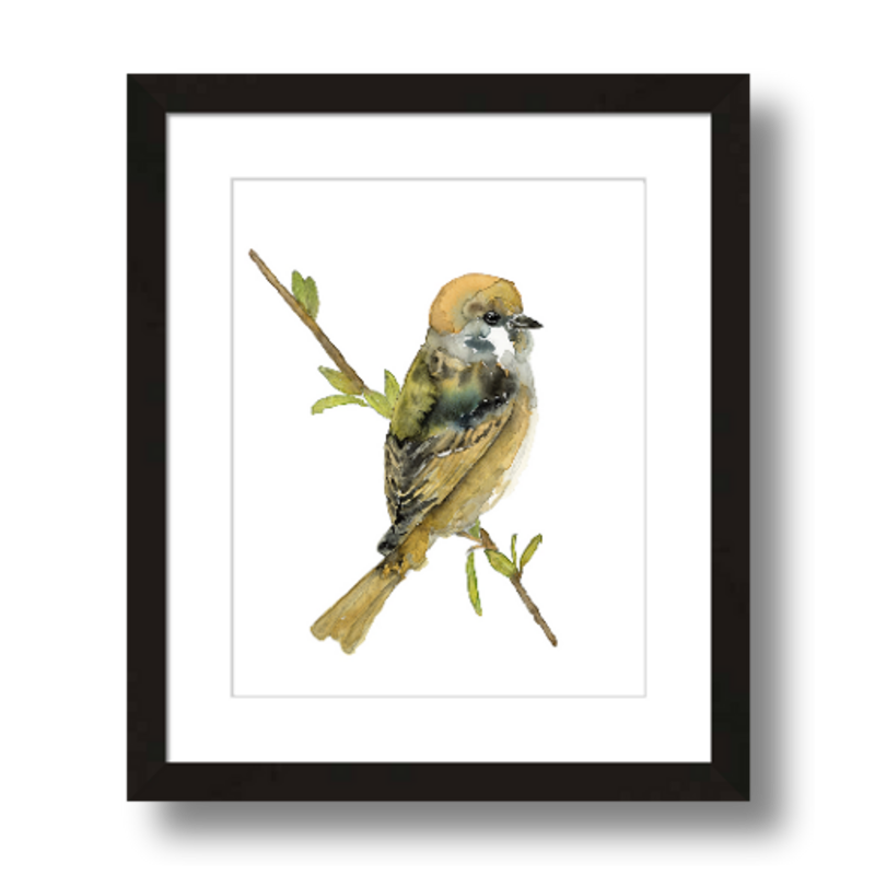 tree sparrow art print framed 8x10