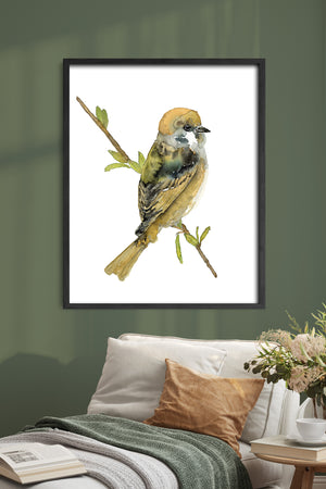 tree sparrow art print watercolor framed on green wall