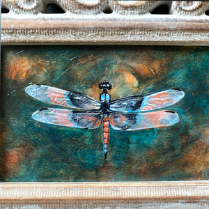 dragonfly painting texture and shimmer detail