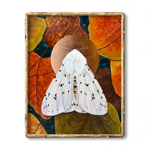 white ermine moth art print in gold frame