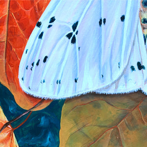 white ermine moth painting with leaves canvas moth art wing detail by Aimee Schreiber