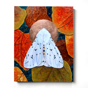 white ermine moth painting with leaves by Aimee Schreiber