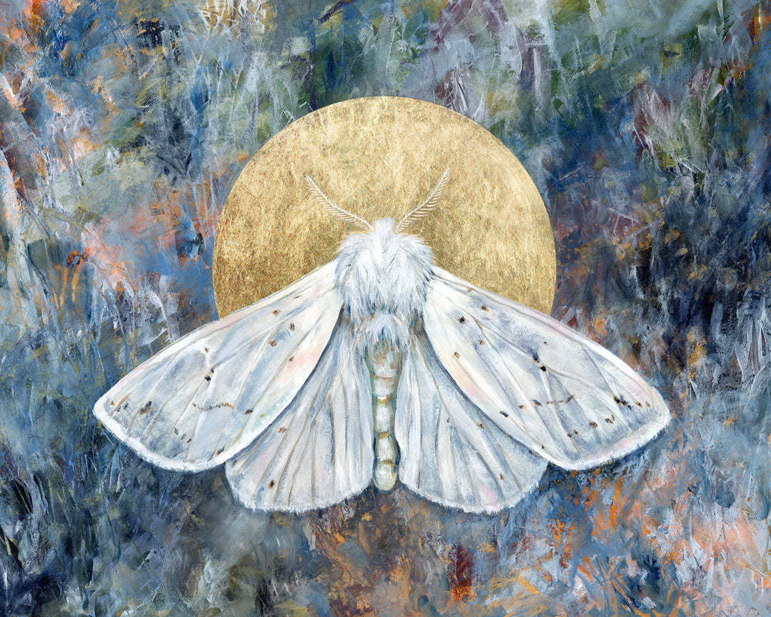 Winter White Moth