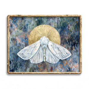 winter white moth art print framed