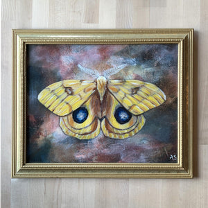 Yellow io moth embellished art print in vintage gold frame by Aimee Schreiber