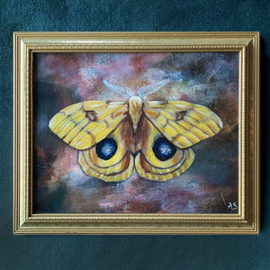 Yellow io moth embellished art print in vintage gold frame on teal wall by Aimee Schreiber