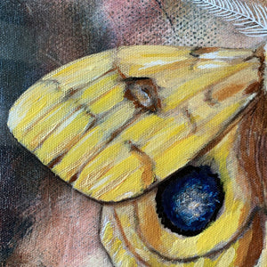 Yellow io moth embellished art print by Aimee Schreiber