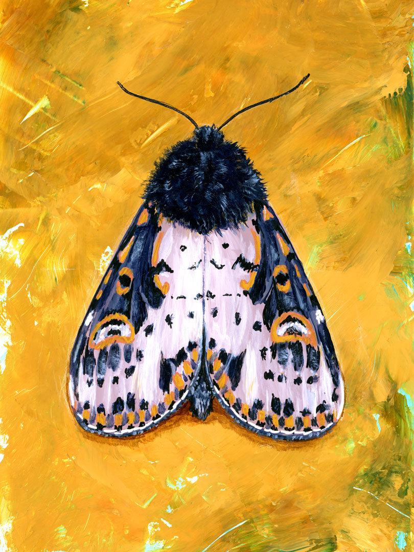 yellow spanish moth art print