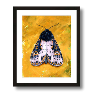 yellow spanish moth art print framed 11x14