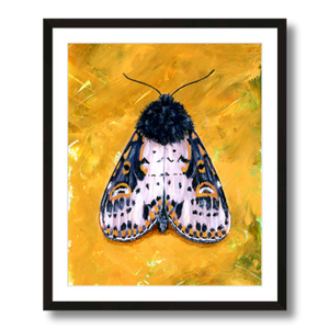 yellow spanish moth art print framed 16x20