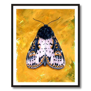 yellow spanish moth art print framed 24x30