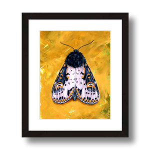 yellow spanish moth art print framed 8x10