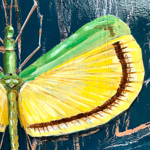 yellow umbrella stick insect painting wing detail